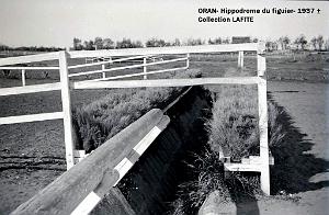 ORAN 1937 HYPPODROME DU FIGIER    (23)